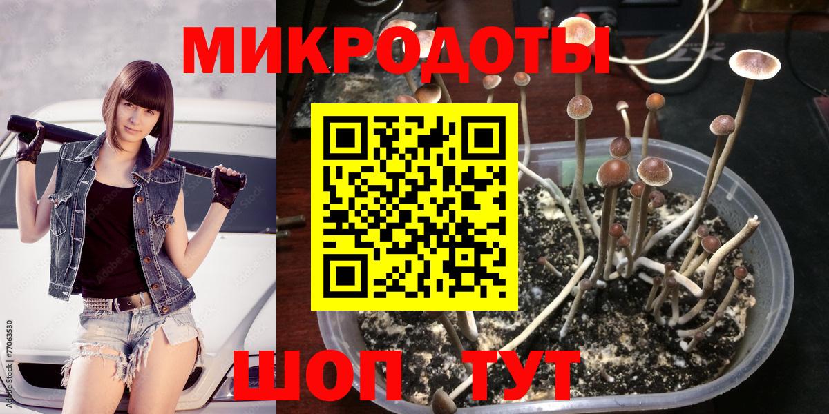 Галлюциногенные грибы GOLDEN TEACHER  Псилоцибиновые грибы Psilocybine cubensis  Сердобск  Вход с VPN 