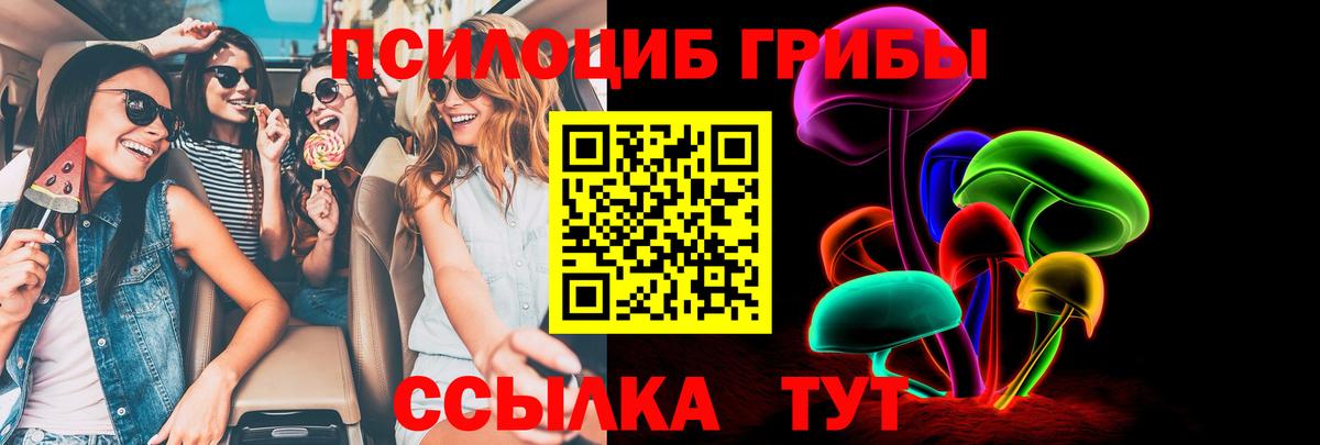 Псилоцибиновые грибы Psilocybe Сердобск